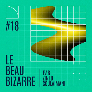 Le Beau Bizarre #18 Avec Vincent Baudriller à Lausanne 